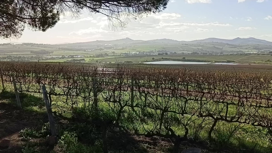 5 Bedroom Property for Sale in Stellenbosch Farms Western Cape